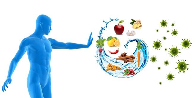 The Role of Nutrition in Immune Function and Disease Prevention
