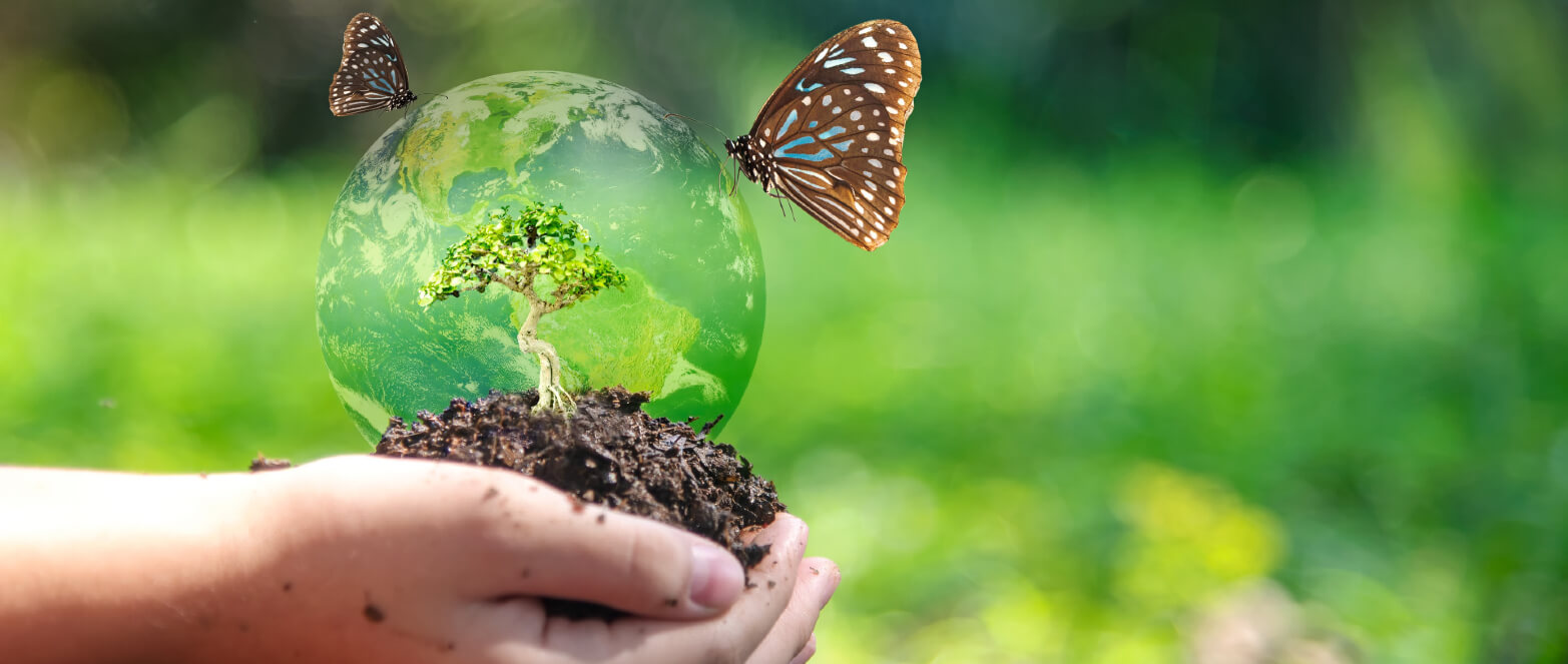 Sustainable Dentistry: Eco-Friendly Practices Taking Root in 2025