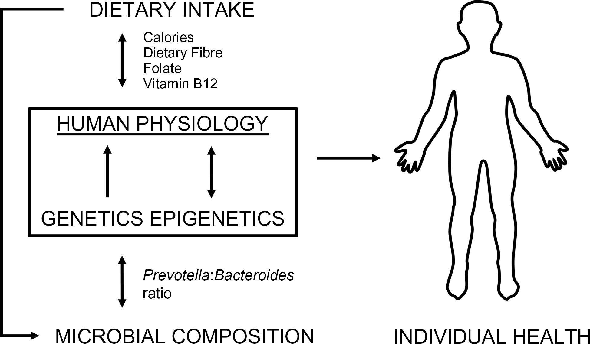 Personalized Nutrition Based on DNA Testing: The Future of Eating for Your Genes